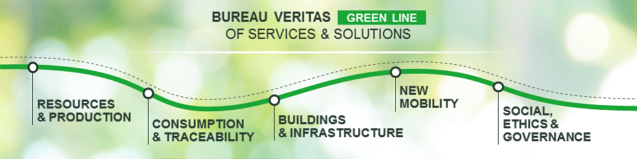 BV Green line