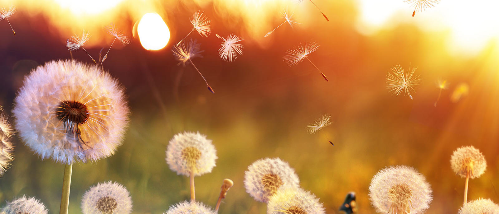 AdobeStock_347575769 (HQ圖)