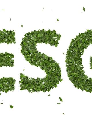 ESG小小