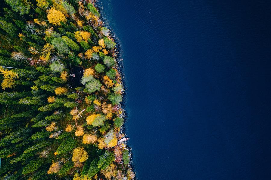 forest side 